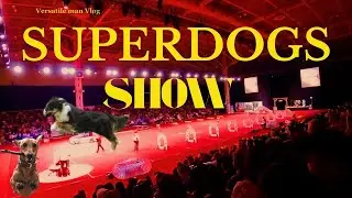 Superdogs show at CNE