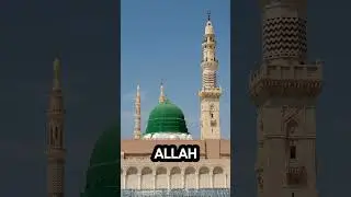Trust Allah for everything - No matter what - Mufti Menk  #motivation #trustallah #love #muslim