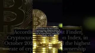 Nigeria's 24.2% Adoption Rating Is the Highest Rate of Crypto Ownership Globally