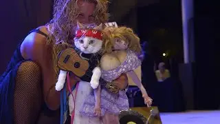 WEB EXTRA: Fantasy Fest Pet Masquerade