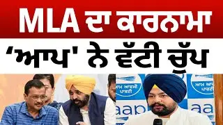 MLA ਦਾ ਕਾਰਨਾਮਾ , ਅਦਾਲਤ ਦਾ  ਫੈਸਲਾ ,  ' ਆਪ '  ਦੀ ਚੁੱਪ |  Sukhnaib  Singh Sidhu  |