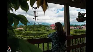 Luray Garden Maze