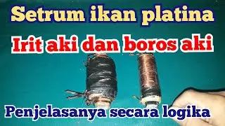 Setrum ikan irit aki dan boros aki