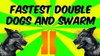 Black Ops 2 Fastest Dogs Ever!