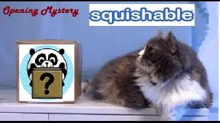 Super quick unboxing of Mystery Squishable and Squee Exclusive from Squishable.com!!