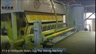 PT 8-8 10000pcs/hr Rotary Egg Tray Making Machine