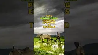 Top 5 Agriculture Producing Countries in The World #shorts #farming @MrBeast @cristiano