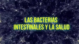 Love Biome M&eacute;xico | El microbioma intestinal humano | Funci&oacute;n del microbioma | Microbioma de la piel