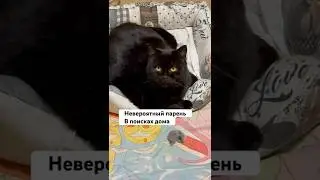 По вопросу дома писать @almazova_anna  в ТГ, также приходите в канал ТГ