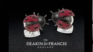 Moving Ladybird Cufflinks!