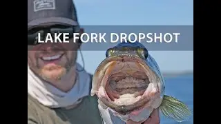 Dropshot Fishing Mastery: Vertical Techniques for Offshore Largemouth Bass at Lake Fork