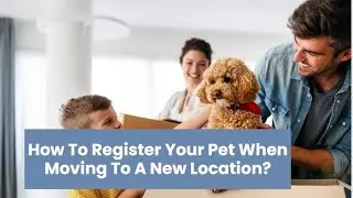 How To Register Your Pet When Moving To A New Location? | Better Removalists Newcastle