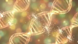 528 Hz Frequency for Healing & Positive Energy | Deep Relaxation