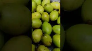 आमड़ा का अचार इस तरीके से बनाएंगे तो सालों तक खाएंगे खराब नहीं होंगे | amra ka achar | pickle recipe