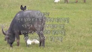Gohpur documentary official promo