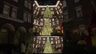 New York City 4K Walk Christmas in NYC 2024-2025 Holiday Season