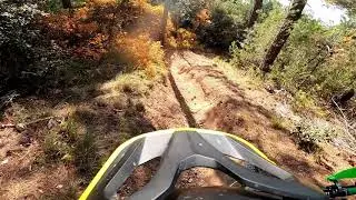 Sorci Verdi Freeride - Cesane (PU, Italy)