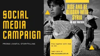 PRO500 | SOCIAL MEDIA CAMPAIGN | Rise And Be Reborn With Syria