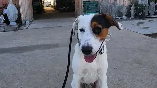Nola Before and After | 7mo mix