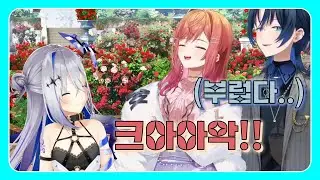 짓뭉개지고픈 리글로스 후배들 [아마네 카나타·이치죠 리리카·히오도시 아오·카자마 이로하·아즈키/홀로라이브]