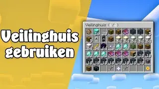 Hoe Werkt het VEILINGHUIS op Survival en Skyblock?