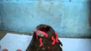 SDC16454