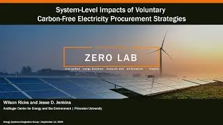 System-Level Impacts of Voluntary Carbon Free Electricity Procurement Strategies