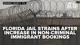 Florida jail strains under repeat booking of non-criminal immigrants as ICE backlog grows