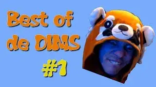 Best Of Dims #1