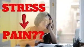 Stress and Pain - The Brain-Body Connection