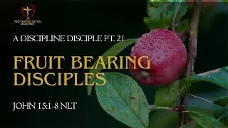 Mid Week Manna  A Discipline Disciple pt. 21 &ldquo;Fruit Bearing Disciples&rdquo; John 15:1-8 NLT