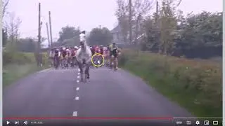 Horse Jumps Fence To Join Bike Race - Why Did He Do This?