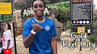 Я сдал в аренду жилой комплекс Gold Reef City в Йоханнесбурге.