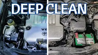 Engine Bay Cleaning ASMR