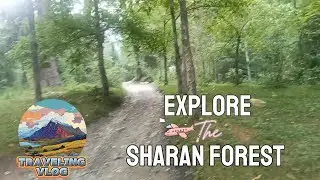 Pakistan ka sabsy Khubsurat jungle || Sharan forest || #vlog #forest