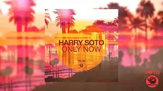 Harry Soto - Only Now - SNK122