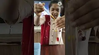 HCl and colour change of different Synthetic indicators (Methyl Orange Phenolphthalein,etc.)🪄
