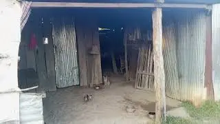ថ្ងៃនេះថ្ងៃសីលសំអាតកន្លែងចិត្តដីលោកទាំងពីរ