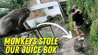 Craziest Travel Day In Uluwatu, Bali