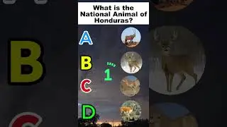 Two Very Different | National Animals?