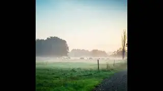 [FREE] Folk x Colter Wall x Bluegrass Type Instrumental 