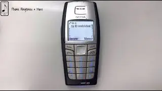Nokia 6015i Incoming Call