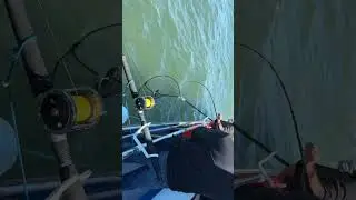 Caught Stripe Bass - New Captain Pete at Oyster Point CA 7/9/2023
