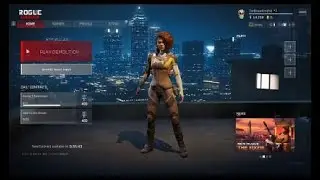 Rogue Company other teams Game Chat Glitch