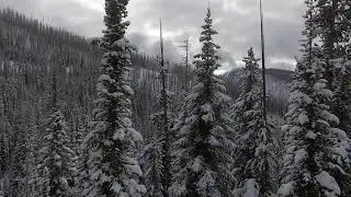 Bitterroot Valley HD