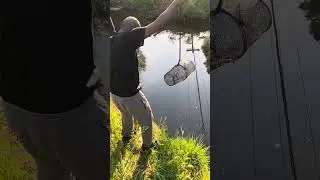 When I 1st started setting fish traps #fishing