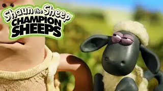 100m Dash | Championsheeps Games | Shaun the Sheep