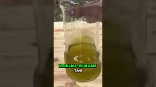 Eksperimen membuat tinta dari sayur sosin