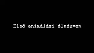 1.Anim&aacute;l&aacute;s