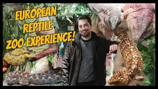 SERPENTARIUM | Visiting a Belgian Reptile Zoo (SO MANY REPTILES!)